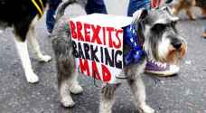 الكلاب والقطط والقوارض لن تسلم من تداعيات خروج بريطانيا