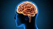 ٥ خرافات عن الدماغ دحضها العلماء