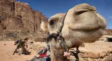 القطاع السياحي في الأردن الخاسر الأكبر في زمن كورونا