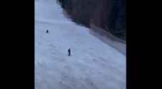 لقطات مرعبة لمتزلج يطارده دب وسط الثلوج- فيديو