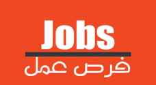 العمل تعلن عن توفر ١١٠ فرص عمل في القطاع الخاص