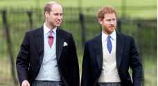 "الأميرة ديانا" تجمع شمل وليام وهاري مجددا