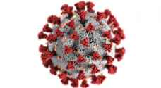 بعد المتحورة.. كورونا يطوّر سلالات هجينة