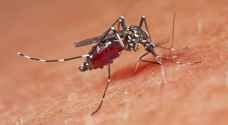 ما السبب الذي يجذب البعوض إلى جسم الإنسان؟