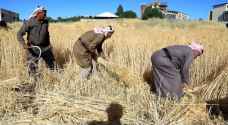 على أنغام الدحية والرقصات التراثية.. الحصادون في عمان يحصدون القمح - فيديو