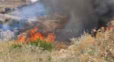 إخماد حريق أعشاب وأشجار في منطقة ناعور - فيديو