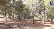 الغابات الحرجية في الطفيلة تعاني الإهمال وتفتقر إلى الخدمات والمرافق - فيديو
