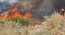 اخماد حريق اعشاب بمحيط خزان زبدا في اربد