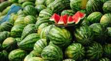 المغرب.. البطيخ بـ"أسعار زهيدة" والمزارعون يشكون الكساد