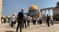 مستوطنون يقتحمون الأقصى من باب المغاربة بحراسة شرطة الاحتلال