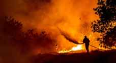 الخارجية لرؤيا: لم نبلغ بإصابة أي أردني في حرائق غابات قبرص