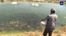 قصة نجاح.. قطاع إنتاج الأسماك يشق طريقه نحو السوق المحلية - فيديو