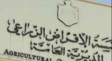 إعفاء صغار المزارعين من تقديم دراسات الجدوى من مكاتب متخصصة.. تفاصيل