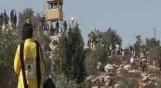لأول مرة منذ ٥ اشهر.. مئات الفلسطينيين يصلون إلى أراضيهم على جبل صبيح.. فيديو