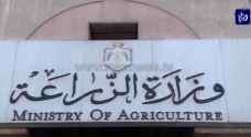"الزراعة": تشكيل لجنة لإعادة النظر في شروط ترخيص واستيراد منتجات زراعية