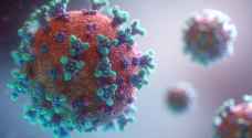 لجنة الأوبئة: ما يثير الرعب في متحور "أوميكرون" هو انتشار معلومات غير دقيقة.. فيديو