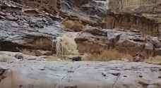جمالية وادي رم تكتمل مع تساقط الأمطار وتشكل الشلالات السبت - فيديو