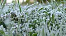 "الزراعة" تدعو المزارعين إلى الوقاية من آثار الصقيع