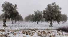 هل تتساقط الثلوج على الأردن الشهر الحالي؟.. الأرصاد تجيب - فيديو