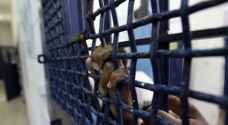 نادي الأسير: حالة من التوتر الشديد تسود سجون الاحتلال