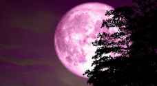 القمر الوردي يُزين سماء الوطن العربي والعالم السبت