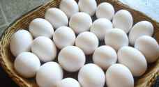 ارتفاع أسعار البيض عالميا بسبب إنفلونزا الطيور وحرب أوكرانيا