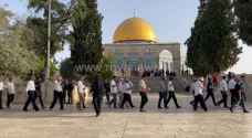 مراسل رؤيا: بدء اقتحامات المستوطنين للمسجد الأقصى - فيديو