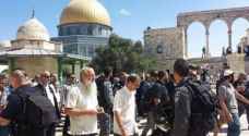 جماعات الهيكل المزعوم تحشد لاقتحامات واسعة للأقصى الأحد والاثنين