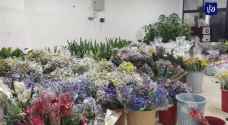 ورش عمل للتشجيع على العمل في قطاع الزهور - فيديو