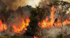 رقم مهول.. الدفاع المدني يكشف عدد الأشجار المحترقة في الـ٣ سنوات الماضية - فيديو