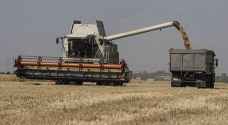 أوكرانيا تعلن استئناف تصدير الحبوب خلال ٢٤ ساعة