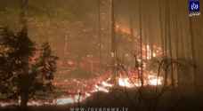 مساحات واسعة في أوروبا تحترق.. ما السبب؟ - فيديو