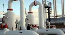 الجغبير: دراسة تزويد المدن الصناعية بالغاز المصري خطوة صحيحة