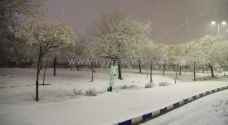 الشاكر يوضح آخر تطورات الحالة الجوية في الأردن وفرص تساقط الثلوج