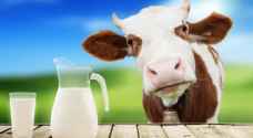 أبو نقطة: تراجع انتاج الحليب لم يؤثر على الكميات الموردة إلى الأسواق