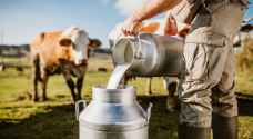 وزير الزراعة يتوقع انتظام إنتاج حليب الأبقار في الأشهر القادمة