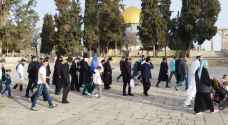 مستوطنون يقتحمون الأقصى تزامنا مع "عيد المساخر "