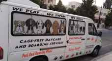 "باص كلاب" في عمّان يثير الجدل - صور