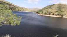 "وادي الأردن": مخزون السدود جيد ونأمل بتحسن الوضع المائي