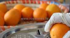 صناعة مربى البرتقال تكسب ربات منازل دخلا إضافيا - فيديو