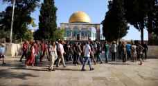 بالفيديو: المستوطنون يبدأون اقتحام المسجد الأقصى بعيد "الفصح اليهودي"