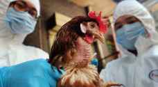 الصحة العالمية تسجل أول وفاة بإنفلونزا الطيور "اتش٣ان٨" منذ انتشاره