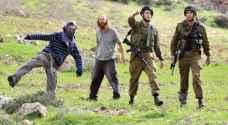 مستوطنون يهاجمون مراعي بمنطقة الثعلة الفلسطينية في مسافر يطا