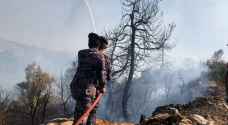السيطرة على حريق أعشاب جافة وأشجار حرجية في محافظة عجلون