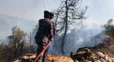 محافظ إربد تعليقا على نشوب الحرائق: ممارسات غير مسؤولة من قبل البعض