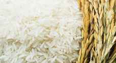 الهند تمنع تصدير الأرز الأبيض باستثناء "بسمتي"
