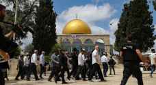 مستوطنون يقتحمون باحات الأقصى بحراسة شرطة الاحتلال