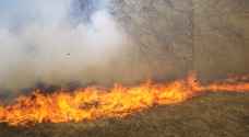 شاهد عيان لـ"رؤيا": محاولات لإخماد حريق نشب في الأغوار الشمالية - فيديو