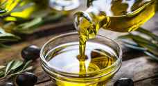 توقعات بارتفاع أسعار زيت الزيتون في الأردن - تفاصيل