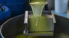 "جمعية منتجي الزيتون" توضح طريقة فحص زيت الزيتون